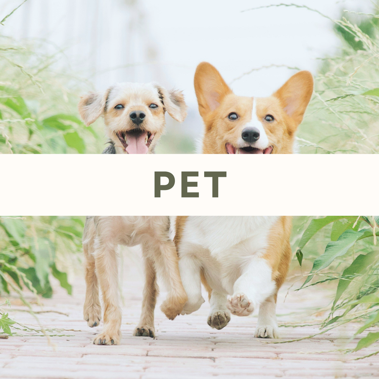 Pet