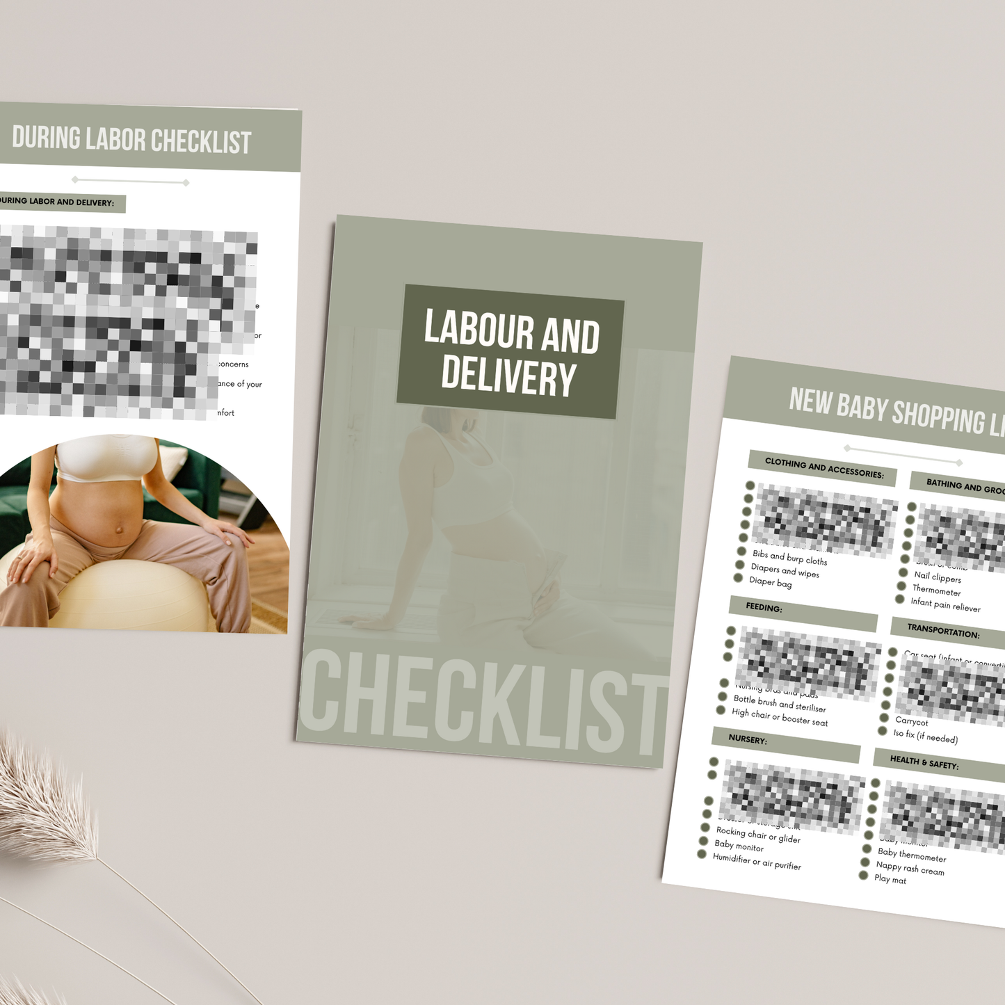 Pregnancy Checklist with Master Resell Rights
