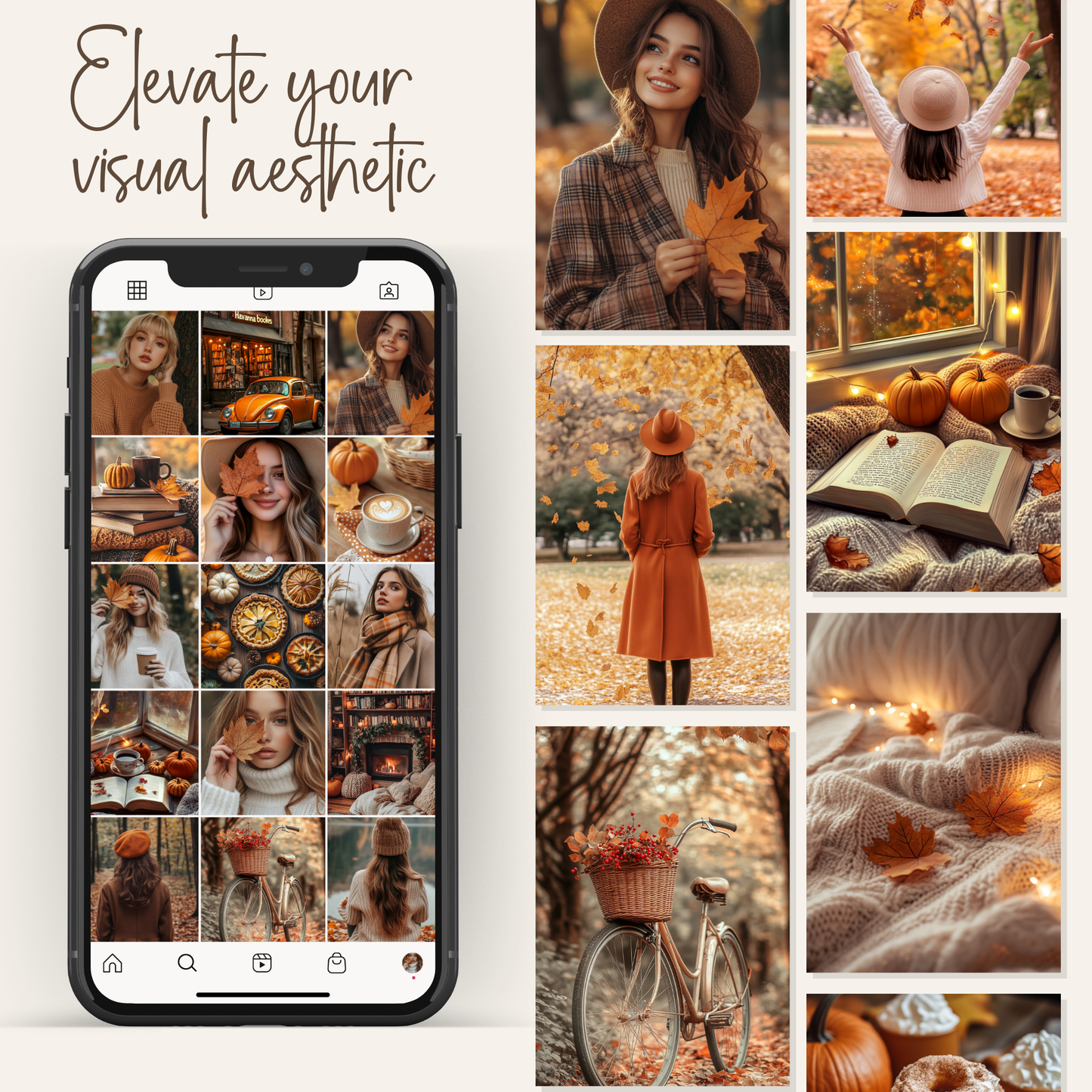 140 Cozy Fall Aesthetic Stock Photos with Master Resell Rights