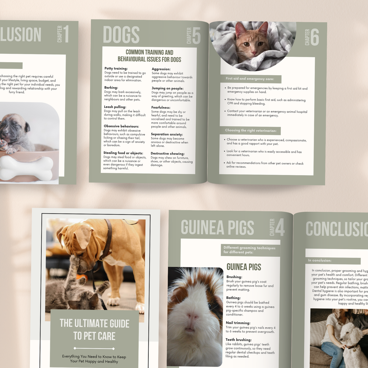 Ultimate Guide to Pet Care eBook with Master Resell Rights