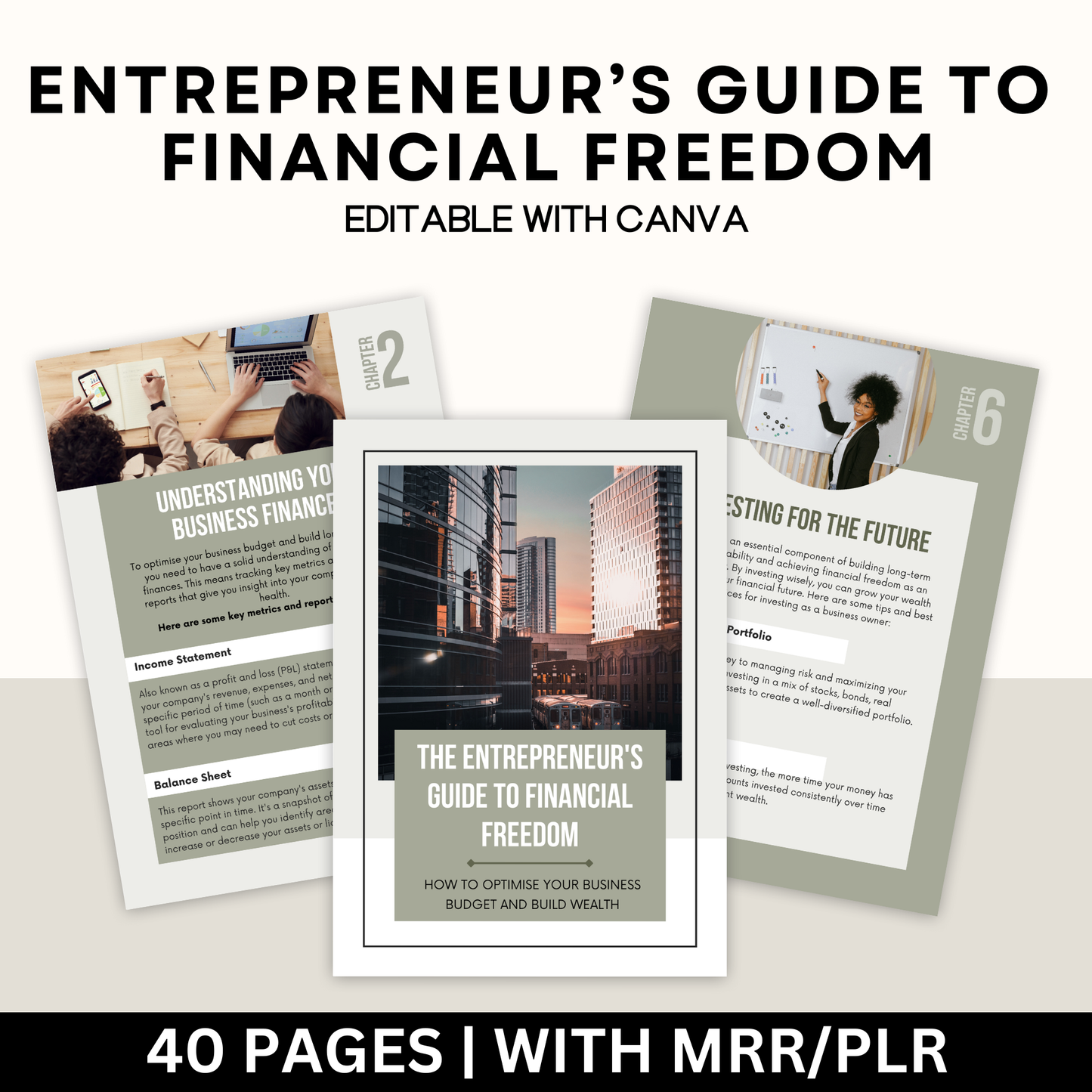 The Entrepreneur's Guide to Financial Freedom with Master Resell Rights