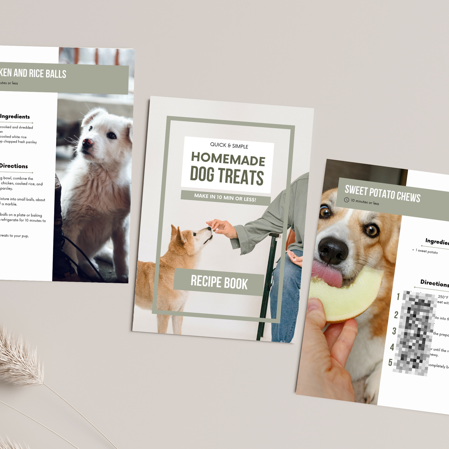 10 Homemade Dog Treats Recipe Book with Master Resell Rights