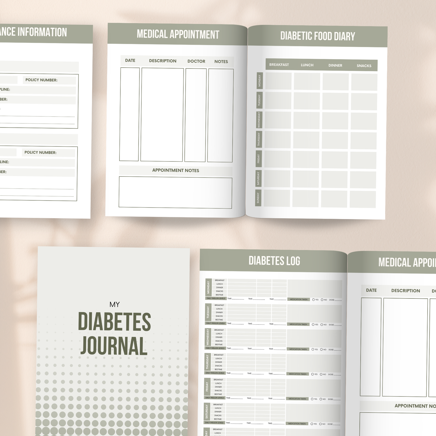 Diabetes Journal with Master Resell Rights
