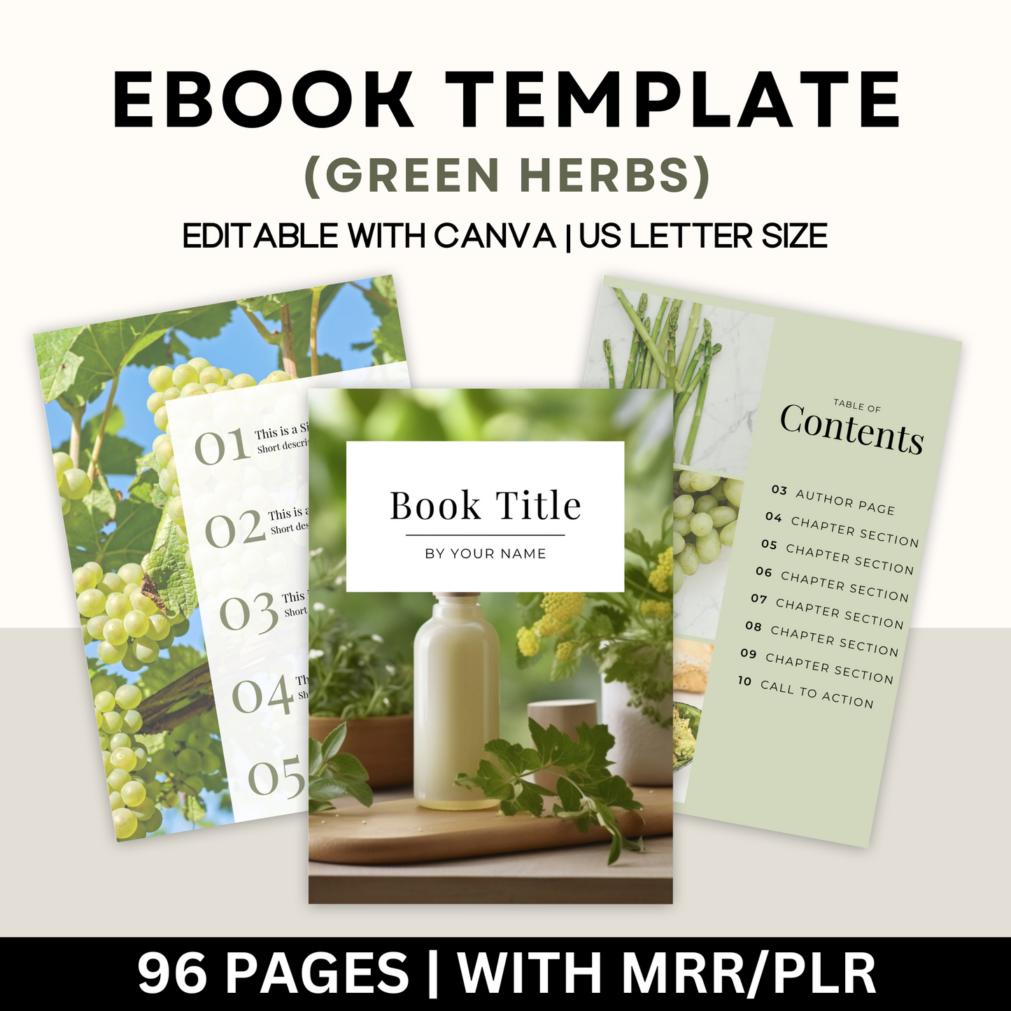 eBook Template Green Themed with Master Resell Rights