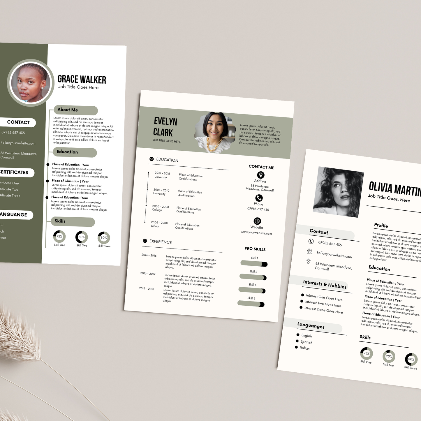 20 CV Templates with Master Resell Rights