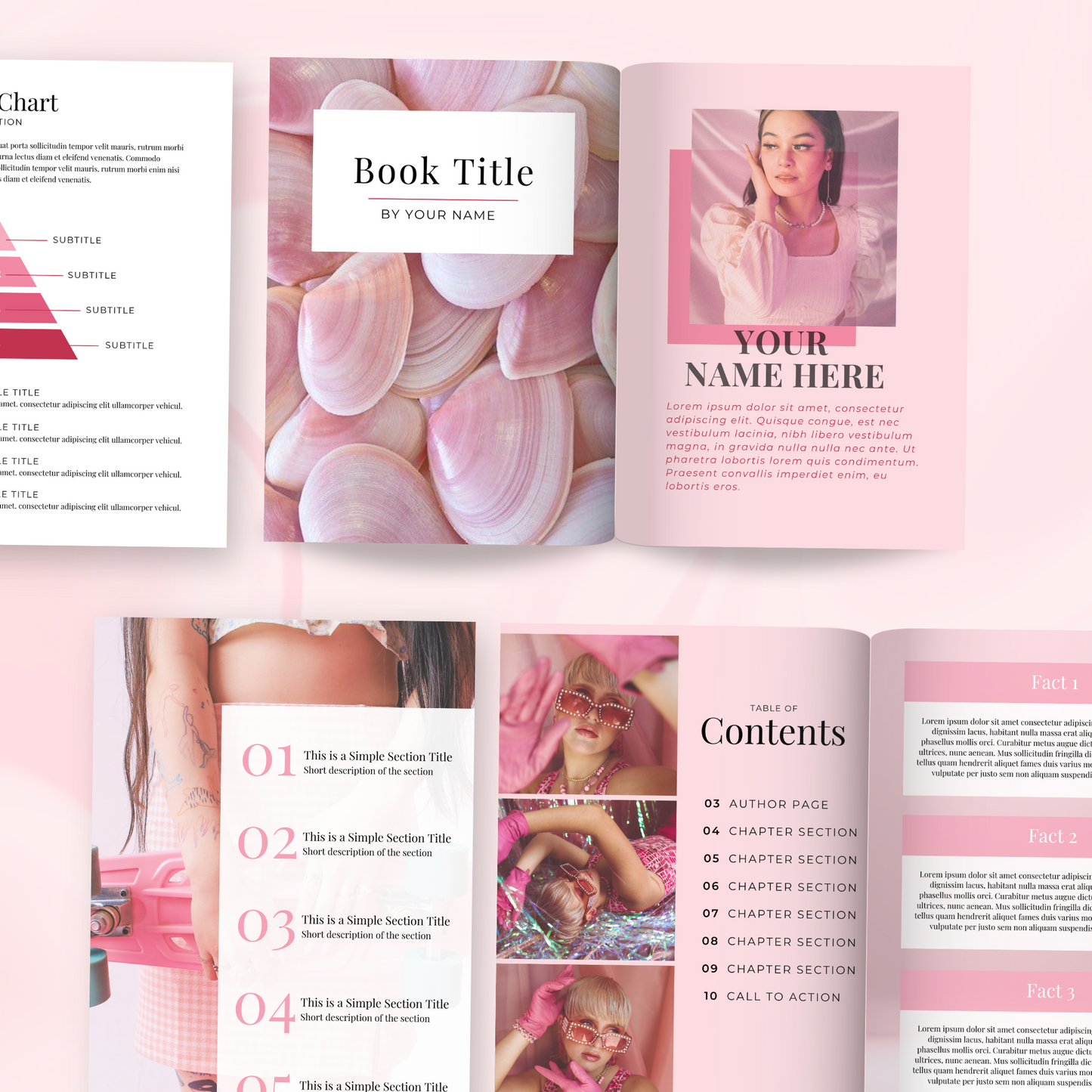 eBook Template Pink Themed with Master Resell Rights
