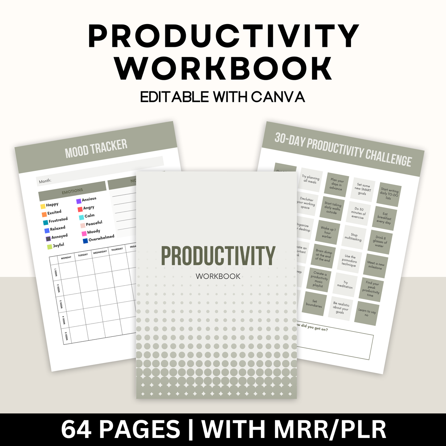 Productivity Workbook with Master Resell Rights