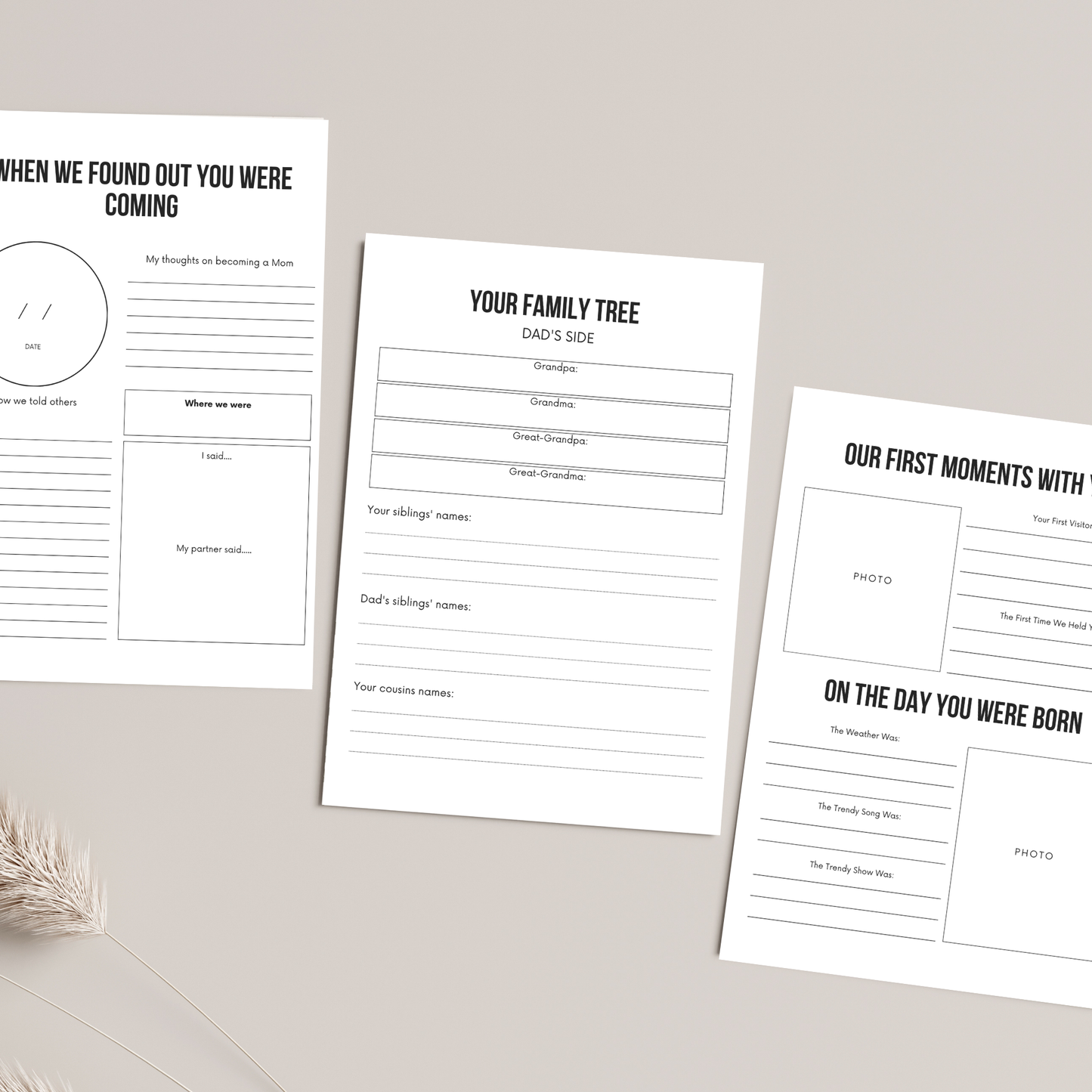 Baby's Memory Book with Master Resell Rights