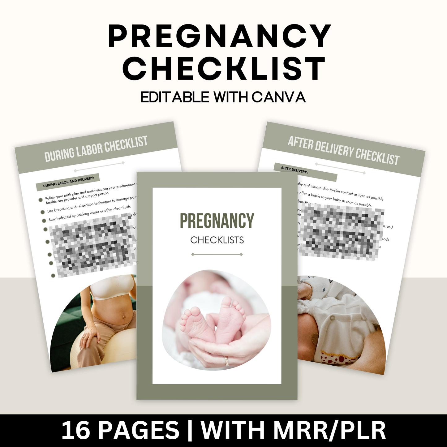 Pregnancy Checklist with Master Resell Rights